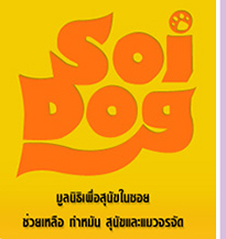 Soi Cats and Dogs